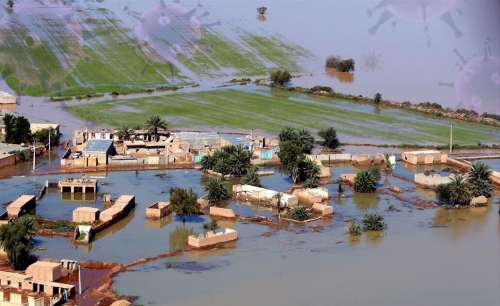 جنوب کرمان در جنگ رسانه‌ای سیلاب پیروز شد